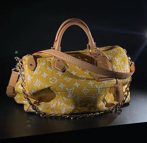 collezione louis vuitton speedy|louis vuitton speedy price.